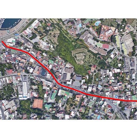 Casa Partenope Villa Forio di Ischia Eksteriør billede